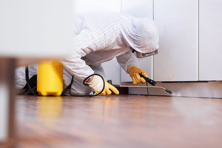 controle-de-pragas-mitos-e-verdades